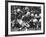 Game Between the Baltimore Colts Vs. the Chicago Bears-George Silk-Framed Premium Photographic Print