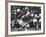 Game Between the Baltimore Colts Vs. the Chicago Bears-George Silk-Framed Premium Photographic Print