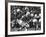 Game Between the Baltimore Colts Vs. the Chicago Bears-George Silk-Framed Premium Photographic Print