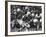 Game Between the Baltimore Colts Vs. the Chicago Bears-George Silk-Framed Premium Photographic Print