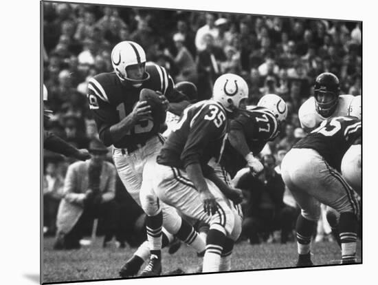 Game Between the Baltimore Colts Vs. the Chicago Bears-George Silk-Mounted Premium Photographic Print