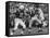 Game Between the Baltimore Colts Vs. the Chicago Bears-George Silk-Framed Premier Image Canvas