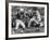 Game Between the Baltimore Colts Vs. the Chicago Bears-George Silk-Framed Premium Photographic Print