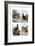 Game Birds from Harmsworth Natural History, 1910-Richard Lydekker-Framed Giclee Print