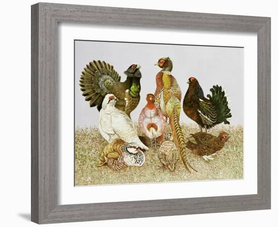 Game Birds-Pat Scott-Framed Giclee Print