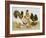 Game Birds-Pat Scott-Framed Giclee Print