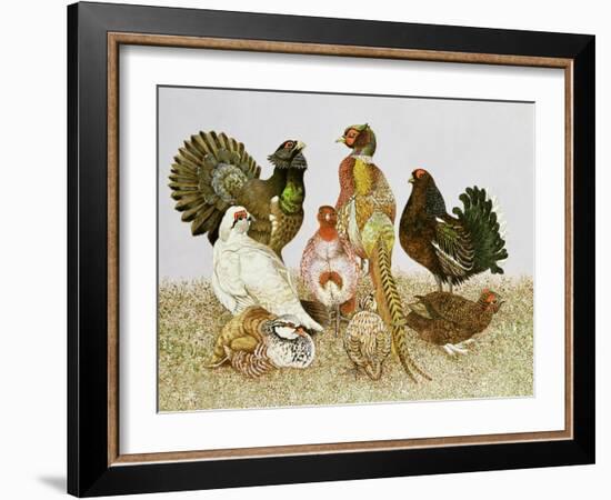 Game Birds-Pat Scott-Framed Giclee Print