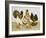 Game Birds-Pat Scott-Framed Giclee Print