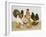 Game Birds-Pat Scott-Framed Giclee Print