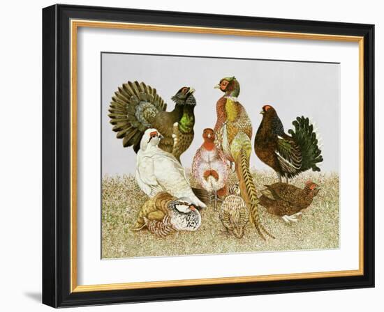 Game Birds-Pat Scott-Framed Giclee Print