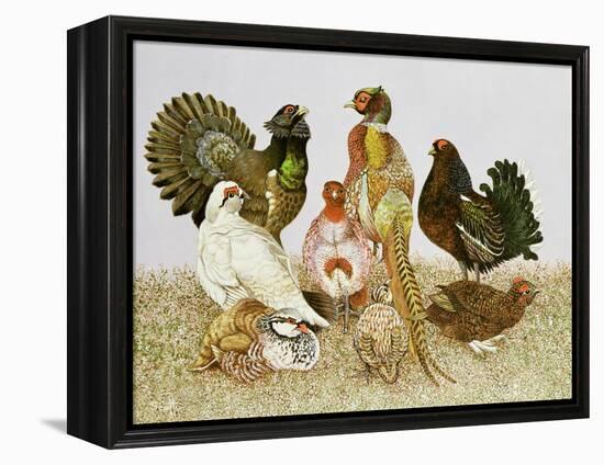 Game Birds-Pat Scott-Framed Premier Image Canvas