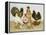 Game Birds-Pat Scott-Framed Premier Image Canvas