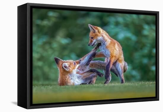 Game Time-Judy Tseng-Framed Premier Image Canvas