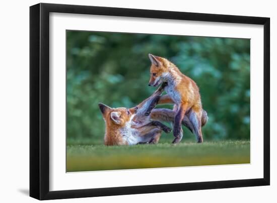 Game Time-Judy Tseng-Framed Giclee Print