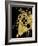 Gamer Splash VI Black Gold-Mary Urban-Framed Art Print