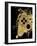 Gamer Splash VI Black Gold-Mary Urban-Framed Art Print