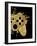 Gamer Splash VII Black Gold-Mary Urban-Framed Art Print