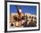 Gammage Auditorium, Architect Frank Lloyd Wright State University, Tempe, Greater Phoenix Area-Richard Cummins-Framed Photographic Print