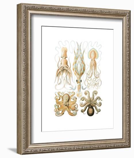 Gamochonia-Ernst Haeckel-Framed Art Print