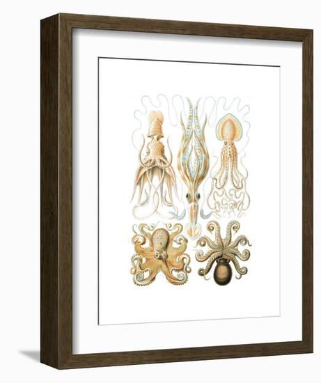 Gamochonia-Ernst Haeckel-Framed Art Print