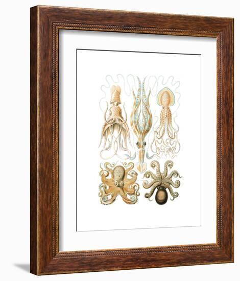 Gamochonia-Ernst Haeckel-Framed Art Print