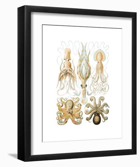 Gamochonia-Ernst Haeckel-Framed Art Print