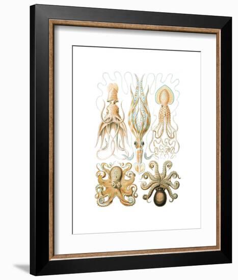 Gamochonia-Ernst Haeckel-Framed Art Print