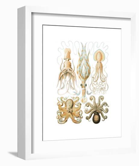 Gamochonia-Ernst Haeckel-Framed Art Print