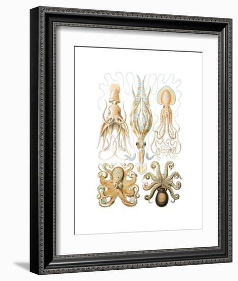 Gamochonia-Ernst Haeckel-Framed Art Print