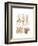 Gamochonia-Ernst Haeckel-Framed Art Print