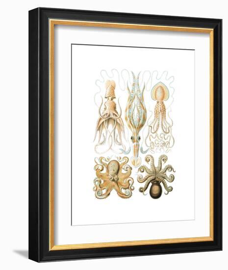 Gamochonia-Ernst Haeckel-Framed Art Print