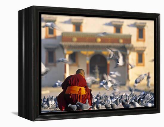 Gandan Khiid Monastery, Ulaan Baatar, Mongolia-Peter Adams-Framed Premier Image Canvas