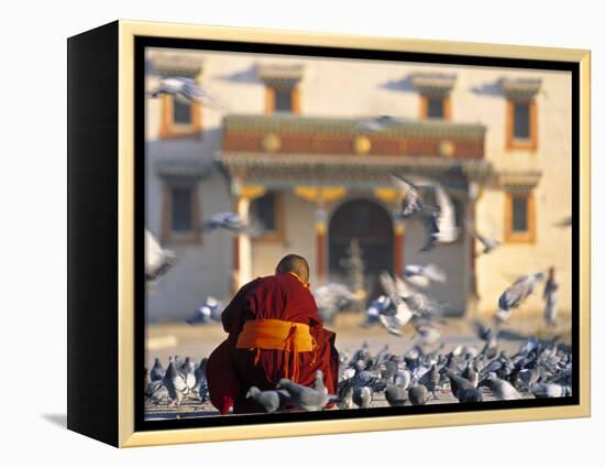 Gandan Khiid Monastery, Ulaan Baatar, Mongolia-Peter Adams-Framed Premier Image Canvas