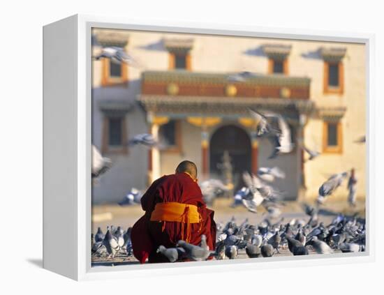 Gandan Khiid Monastery, Ulaan Baatar, Mongolia-Peter Adams-Framed Premier Image Canvas