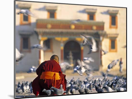 Gandan Khiid Monastery, Ulaan Baatar, Mongolia-Peter Adams-Mounted Photographic Print