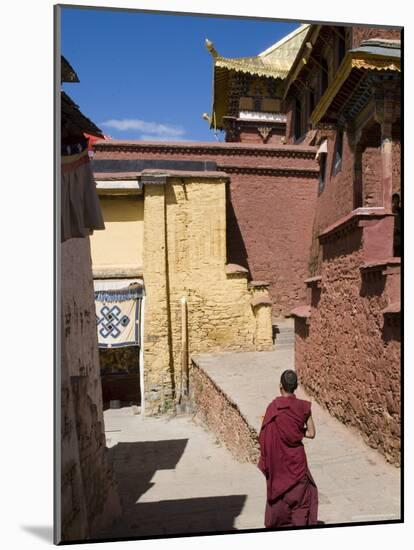 Ganden Monastery, Near Lhasa, Tibet, China-Ethel Davies-Mounted Photographic Print