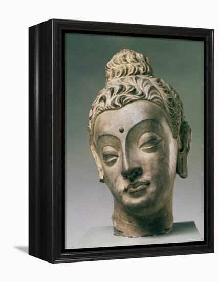 Gandharan Style Lime Plaster Buddha, 4th Century-null-Framed Premier Image Canvas