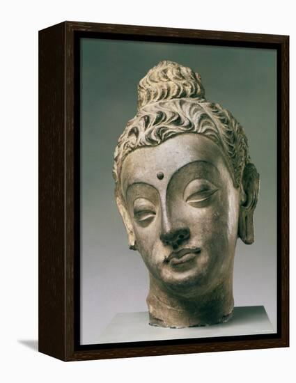 Gandharan Style Lime Plaster Buddha, 4th Century-null-Framed Premier Image Canvas