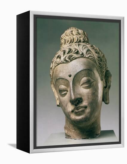 Gandharan Style Lime Plaster Buddha, 4th Century-null-Framed Premier Image Canvas