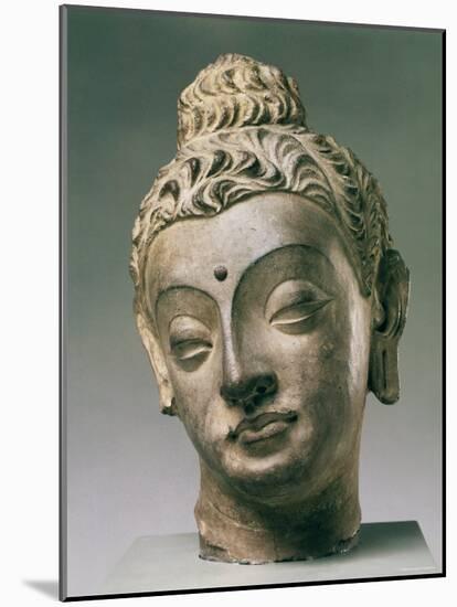 Gandharan Style Lime Plaster Buddha, 4th Century-null-Mounted Photographic Print