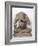 Ganesh, from Tuol Pheak Kin, Kandal Province, 7th-8th Century-null-Framed Giclee Print