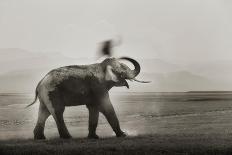 Elephants in Water-Ganesh H Shankar-Premier Image Canvas