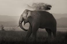 Elephants in Water-Ganesh H Shankar-Mounted Photographic Print
