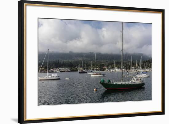 Ganges Harbor on Salt Spring Island in British Columbia, Canada-Chuck Haney-Framed Photographic Print