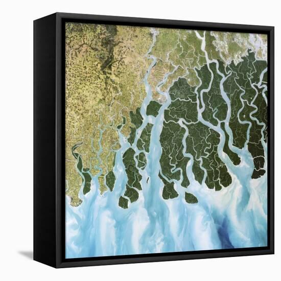 Ganges River Delta, India-PLANETOBSERVER-Framed Premier Image Canvas