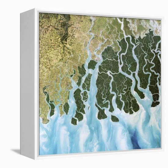 Ganges River Delta, India-PLANETOBSERVER-Framed Premier Image Canvas