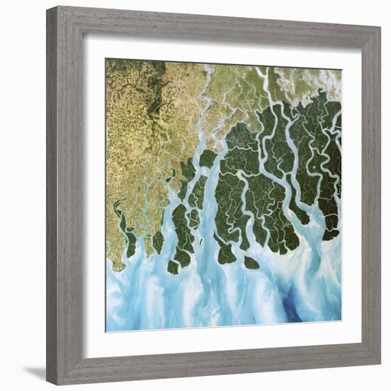 Ganges River Delta, India-PLANETOBSERVER-Framed Premium Photographic Print