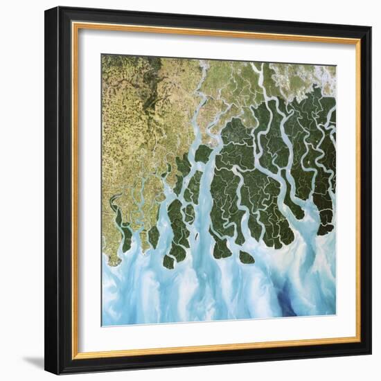 Ganges River Delta, India-PLANETOBSERVER-Framed Premium Photographic Print