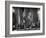 Gangster Mickey Cohen Testifying before Senate Racket Comm-Ed Clark-Framed Photographic Print