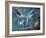 Gannet, c.1985-Isabel Alexander-Framed Giclee Print